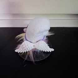 Fino Funkelflug ( von hinten)